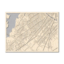 Load image into Gallery viewer, Waco, TX City Map