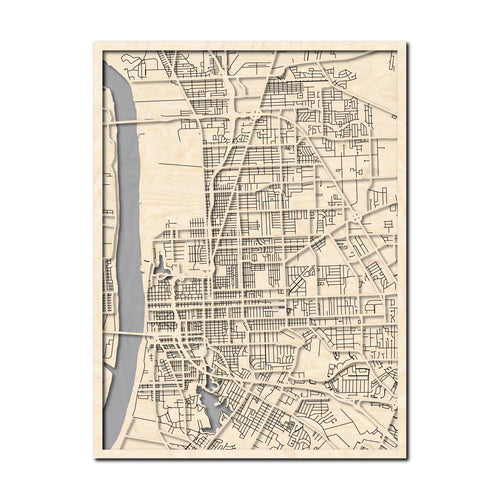 Baton Rouge, LA City Map