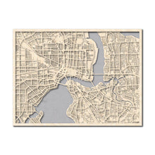 Load image into Gallery viewer, Jacksonville, FL City Map