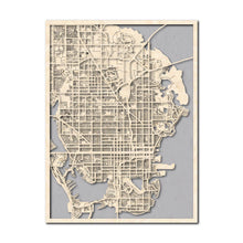 Load image into Gallery viewer, St. Petersburg, FL City Map