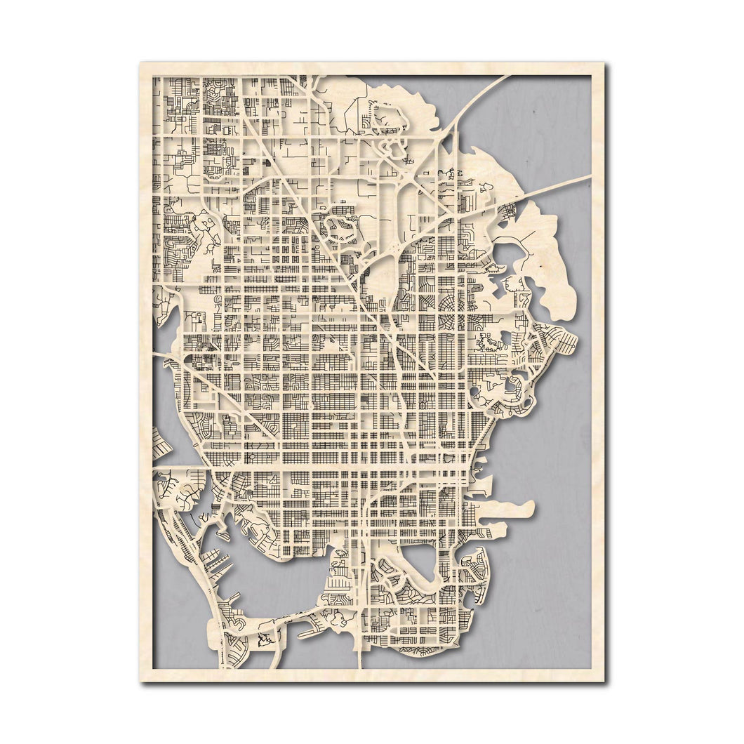 St. Petersburg, FL City Map